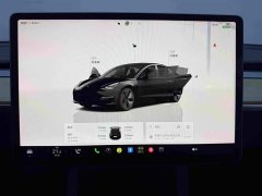 Tesla Model 3 Rear-Wheel Drive - ფოტო 16