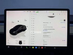 Tesla Model 3 Rear-Wheel Drive - ფოტო 19