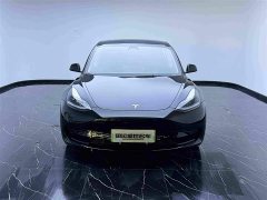Tesla Model 3 Rear-Wheel Drive - ფოტო 2