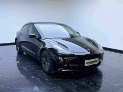 Tesla Model 3 Rear-Wheel Drive - ფოტო 3