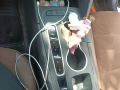 Buick Regal 2020 552T Luxury - ფოტო 10