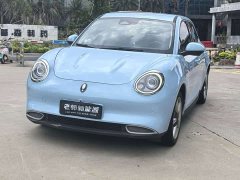 ORA Good Cat 400km Standard Range Luxury Lithium Iron Phosphate - ფოტო 1