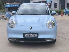 ORA Good Cat 400km Standard Range Luxury Lithium Iron Phosphate - ფოტო 2