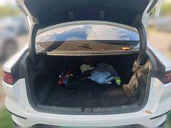 BYD Han DM-i 121KM Respect Edition - ფოტო 15