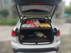 BMW X1 sDrive25Li Premier - ფოტო 20