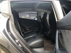 Tesla Model 3 Standard Range RWD Upgrade 3D6 - ფოტო 12