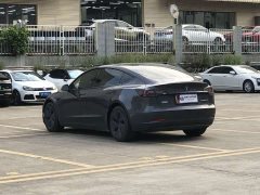 Tesla Model 3 Standard Range RWD Upgrade 3D6 - ფოტო 6