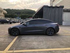 Tesla Model 3 Standard Range RWD Upgrade 3D6 - ფოტო 8