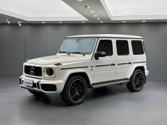 Mercedes-Benz G-Class G 350 - ფოტო 1
