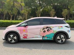 BYD Dolphin 420km Freedom Edition - ფოტო 12