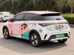 BYD Dolphin 420km Freedom Edition - ფოტო 13