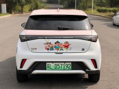 BYD Dolphin 420km Freedom Edition - ფოტო 14