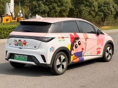 BYD Dolphin 420km Freedom Edition - ფოტო 15