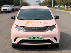 BYD Dolphin 420km Freedom Edition - ფოტო 2