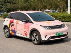 BYD Dolphin 420km Freedom Edition - ფოტო 3