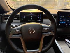 BYD Qin PLUS DM-i 128KM Entry-Level - ფოტო 10