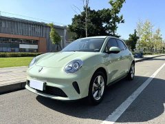 ORA Good Cat 430km Luxury - ფოტო 1