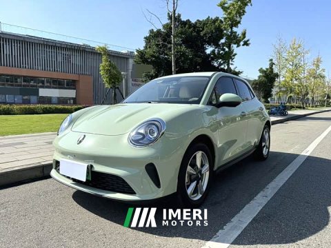 2025 ORA Good Cat 430km Luxury - ავტომობილი ჩინეთიდან