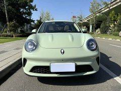 ORA Good Cat 430km Luxury - ფოტო 2