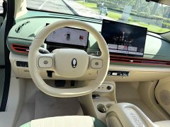 ORA Good Cat 430km Luxury - ფოტო 5