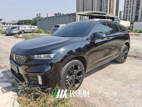 2021 Great Wall WEY VV7 2.0T Tech Edition - ავტომობილი ჩინეთიდან