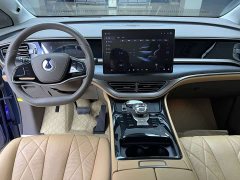 Denza D9 2022 DM-i 970 AWD Flagship - ფოტო 8