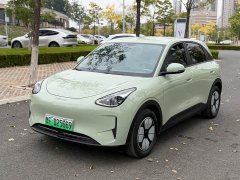 Geely Xing Yuan 310km Youth Edition - ფოტო 1