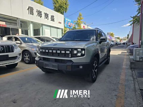 2025 Jetour Jietu Shanhai T1 220km Four-Wheel Drive Conquest Edition - ავტომობილი ჩინეთიდან