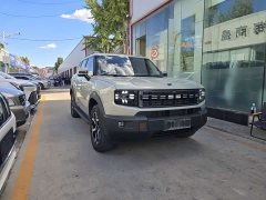 Jetour Jietu Shanhai T1 220km Four-Wheel Drive Conquest Edition - ფოტო 3