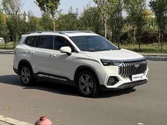 Geely Haoyue L 2.0T DCT Flagship - ფოტო 3