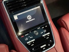 Porsche Panamera Executive Extended Wheelbase 2.9T - ფოტო 19
