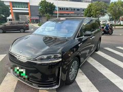 Luxeed Zhiji V9 Max - ფოტო 1