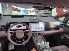 Luxeed Zhiji V9 Max - ფოტო 7