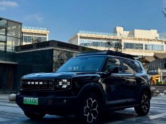 Jetour Jietu Shanhai T1 150km Xianghai - ფოტო 1