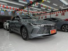 BYD Destroyer 05 Glory Edition DM-i 55KM Luxury - ფოტო 2