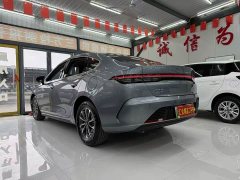 BYD Destroyer 05 Glory Edition DM-i 55KM Luxury - ფოტო 4