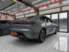 BYD Destroyer 05 Glory Edition DM-i 55KM Luxury - ფოტო 5