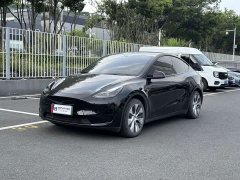 Tesla Model Y Rear-Wheel Drive - ფოტო 1