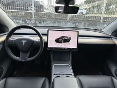 Tesla Model Y Rear-Wheel Drive - ფოტო 11