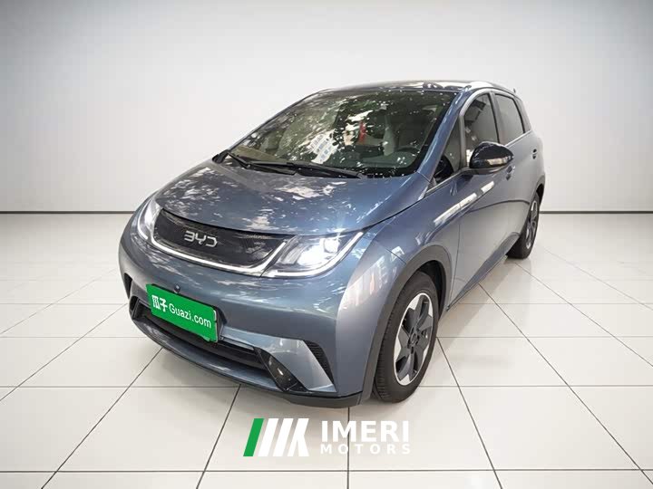 BYD Dolphin 420km Freedom Edition - ავტომობილი ჩინეთიდან