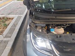 BYD Dolphin 420km Freedom Edition - ფოტო 20
