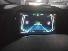 BYD Yuan Pro Love for Life Edition - ფოტო 8