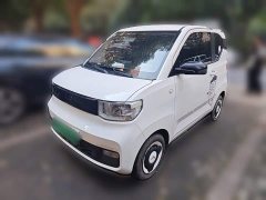 Wuling Hongguang MINIEV Zizai Trim Ternary Lithium Battery - ფოტო 1