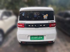 Wuling Hongguang MINIEV Zizai Trim Ternary Lithium Battery - ფოტო 3