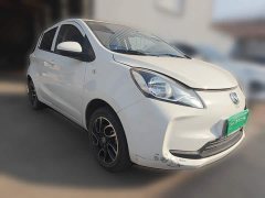 Changan Benben E-Star 2021 National Colorful Edition (LFP, 31.86 kWh) - ფოტო 3