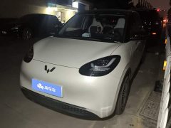 Wuling Binguo 2023 333km Lingxi Connected Edition - ფოტო 1