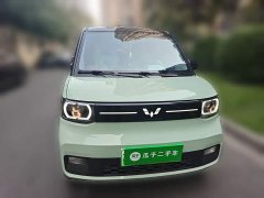 Wuling Hongguang MINIEV Delightful Edition LFP - ფოტო 2