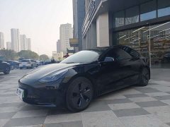 Tesla Model 3 Standard Range RWD Upgrade - ფოტო 1