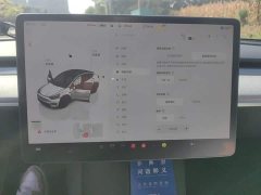 Tesla Model Y Long Range All-Wheel Drive - ფოტო 20