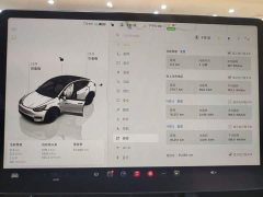 Tesla Model Y Long Range All-Wheel Drive - ფოტო 8